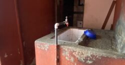 CASA LOTE 7 DE AGOSTO